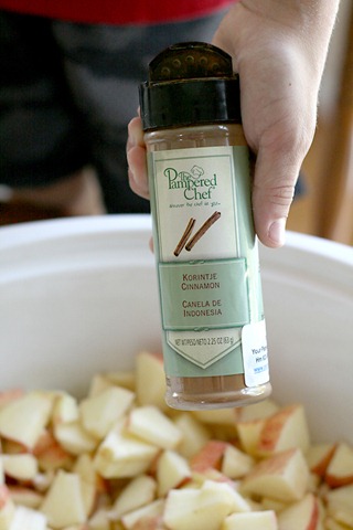 [2chopandsprinklewithcinnamon3.jpg]
