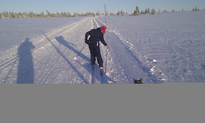Bilde fra Sjusjøen