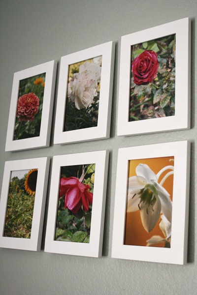 photos for sale 101