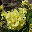 Beautiful wild flowers
www.radicalfish.eu
http://www.skibreezy.com
