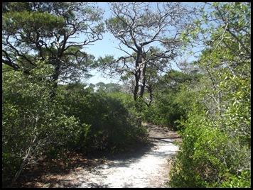 Dune hike Henderson Beach 028