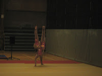 IMG_2393.JPG