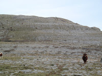 IMG_3228.JPG Photo