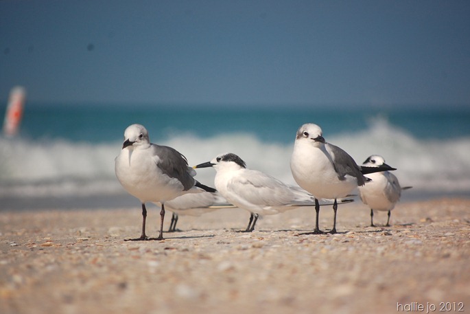 Beach3