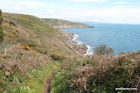 IMG_7974.JPG Photo