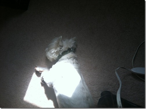 2012.06.08 Sun
