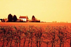 Farm-Life-15---XPRO