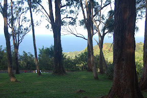 DSC_0769.JPG