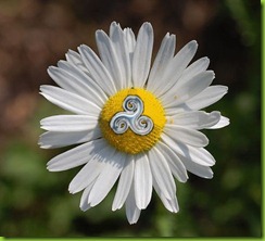 el mandala de la vida verdadera