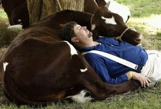 animals-and-humans_05
