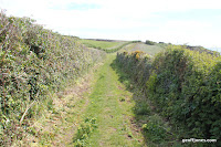 IMG_7966.JPG Photo