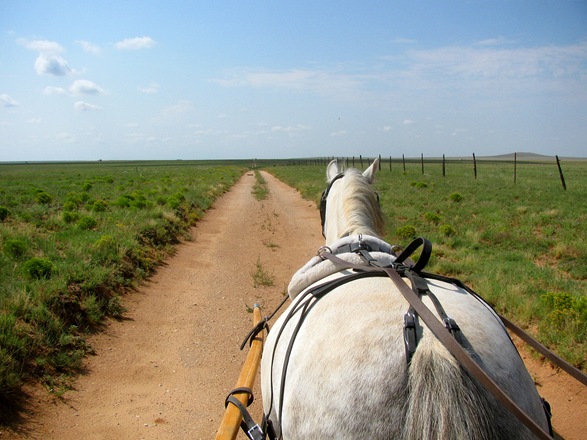 [IMG_4424%255B5%255D.jpg]
