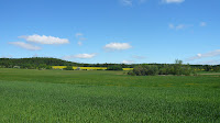 P1100445.JPG