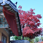 DSC_0259.JPG