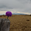 DSC_0075.JPG