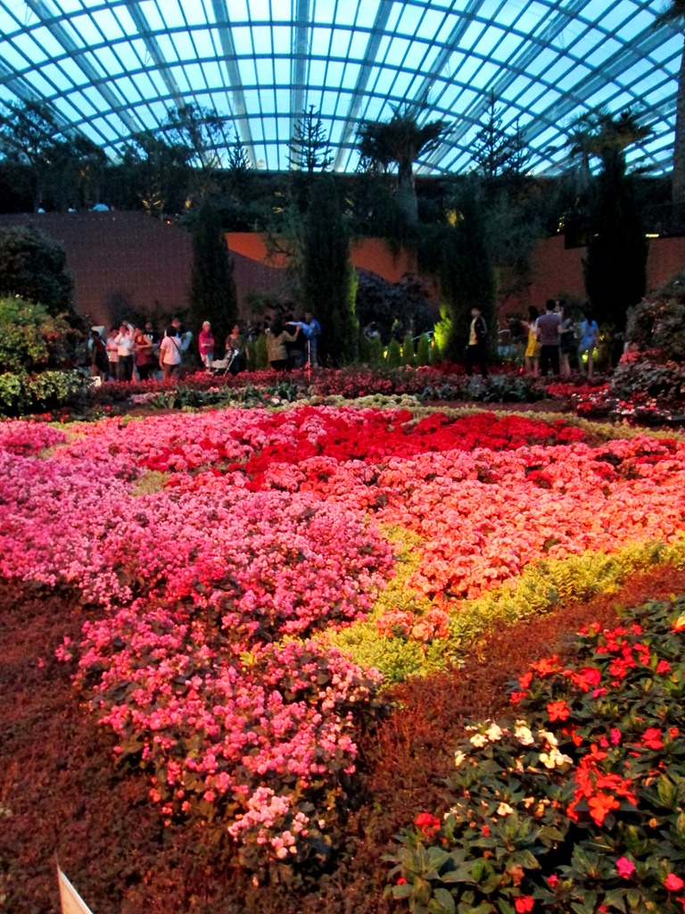 [IMG_1653%255B3%255D.jpg]