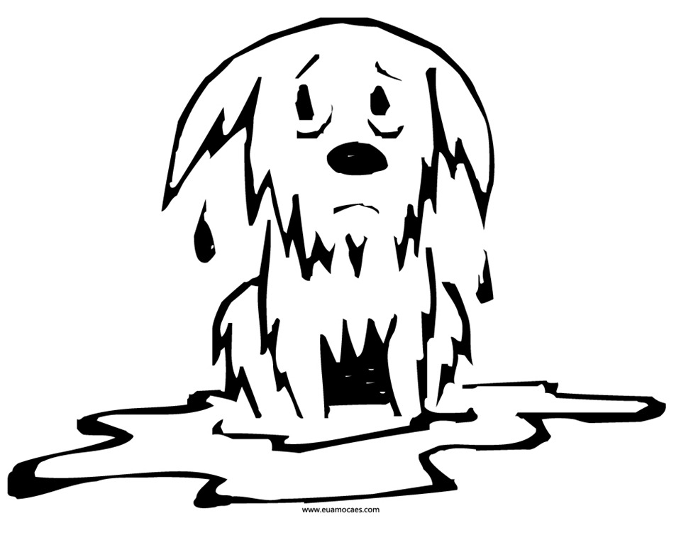 [Cachorro%252010%255B3%255D.jpg]