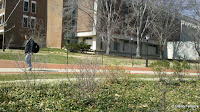 2011-03-16_13-14-50_40.jpg