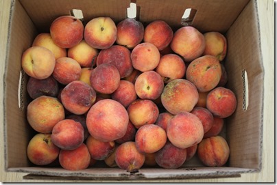 peaches via Jovial Foods Blog