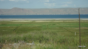 IMG_4261.jpg