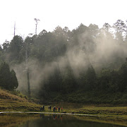 加羅湖野營