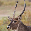 DBP-A2_091520.jpg