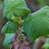 P3259227