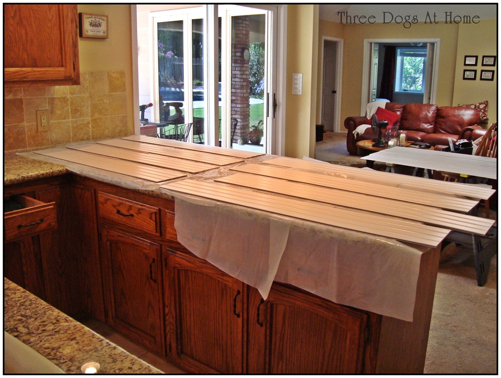 [house%2520pics%2520137%255B3%255D.jpg]