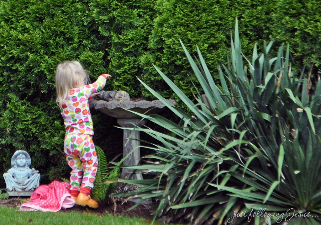 [008%255B9%255D.jpg]