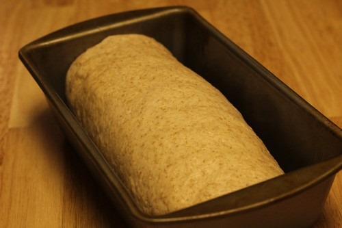 [honey-graham-oatmeal-bread012.jpg]
