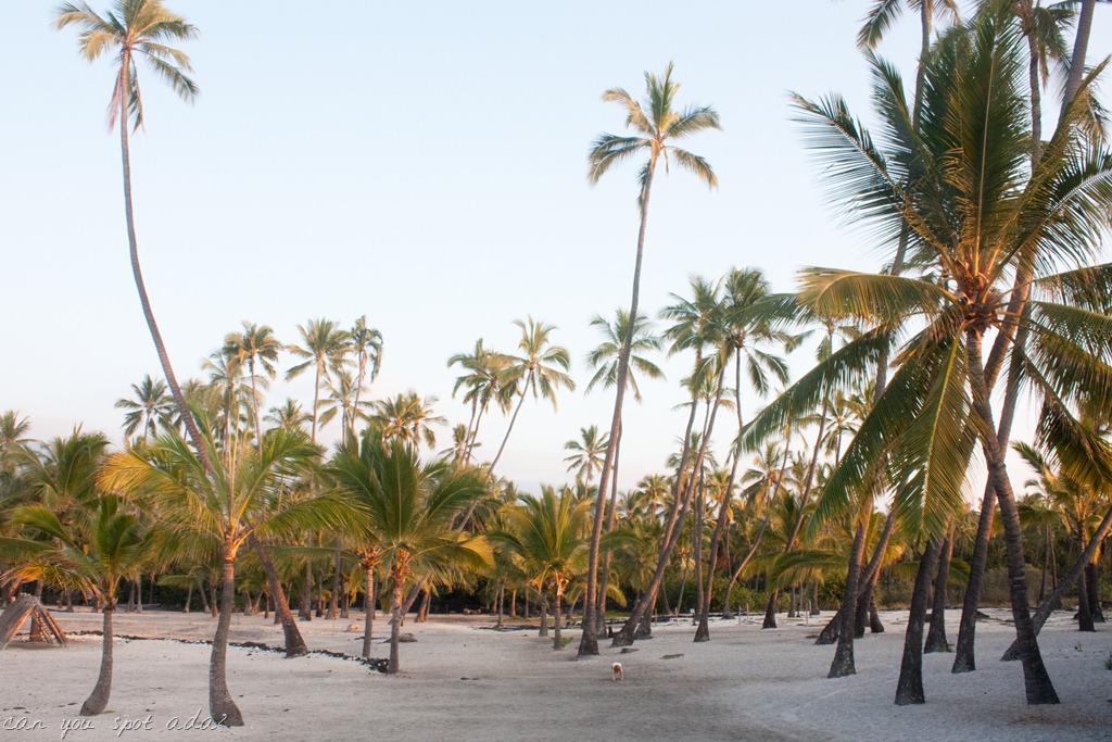 [20121216-IMG_4627%255B8%255D.jpg]