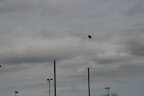 Dwingeloo - Den Helder