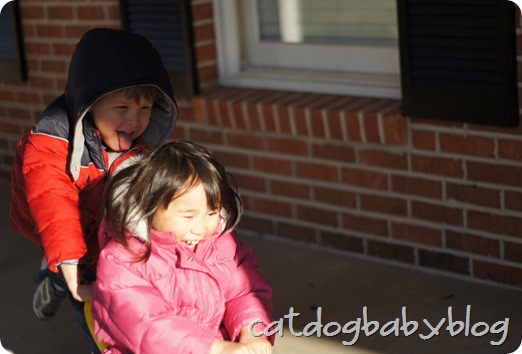 2013-01-03 (8)