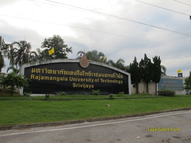[IMG_69073.jpg]