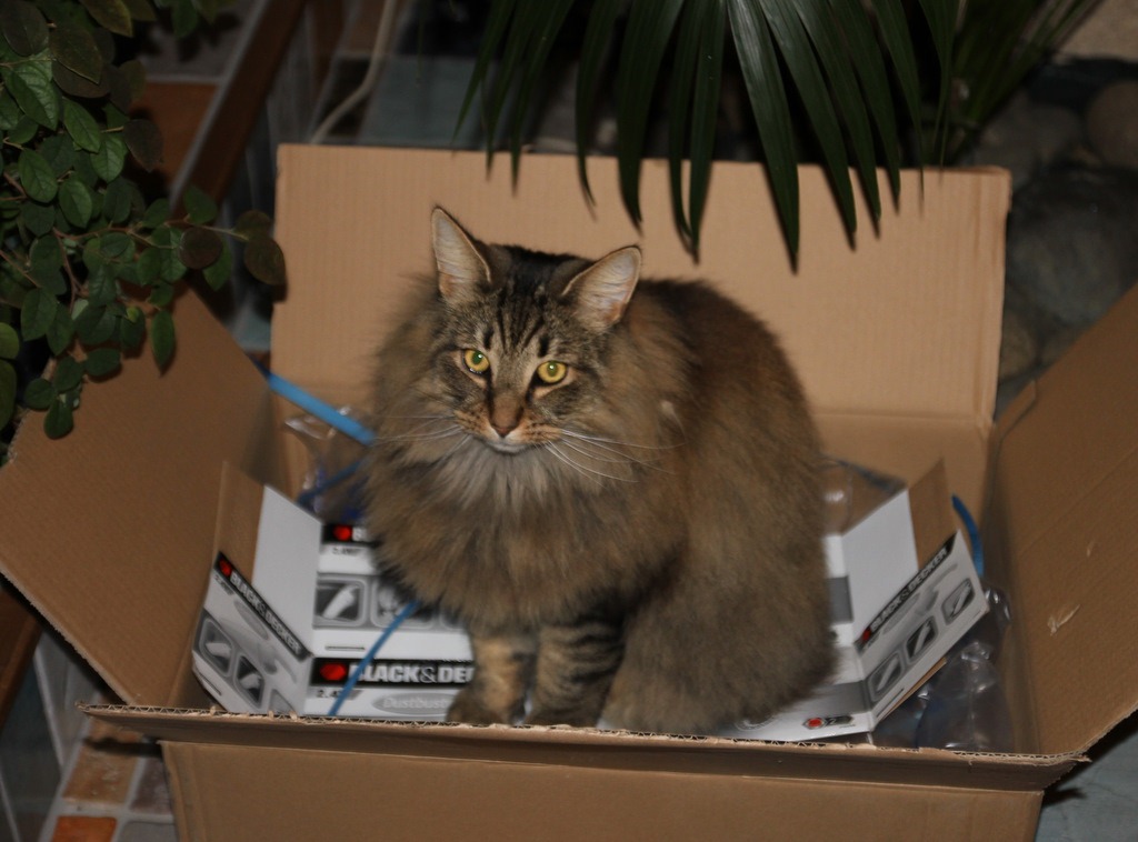 [IMG_7825%255B4%255D.jpg]