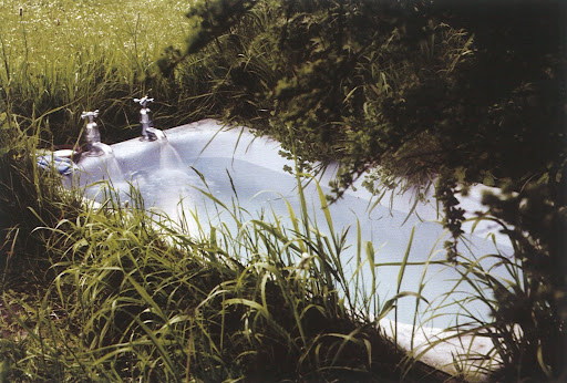 Nowhere else besides the country will you find an old working bathtub secluded in the corner of a cottage garden.