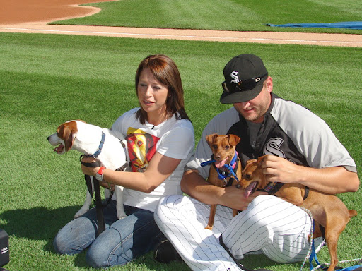 79 percent of those surveyed say they talk about their dog more than politics and 48 percent that chit chat about their dog more than their job...