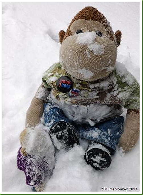 snowball fight. snowball fight.