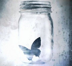 A Warner Bros. gyönyörű katasztrófája A Warner Bros. gyönyörű katasztrófája