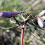 IMG_6742.JPG