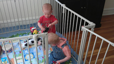 Andy loves ollys cage