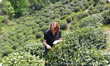 Foto (c) Natalia Panne / tea exclusive Foto (c) Natalia Panne / tea exclusive