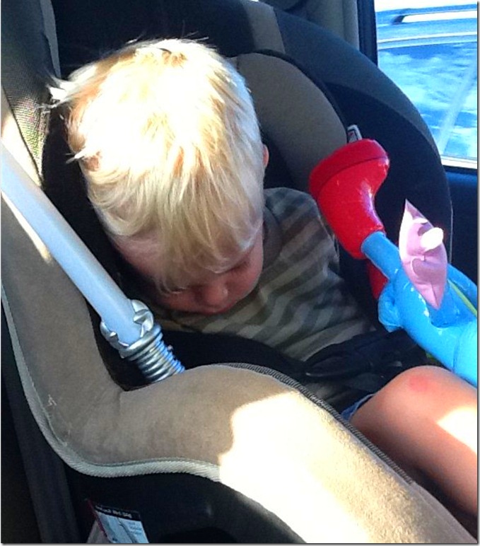 Gray asleep Gray asleep