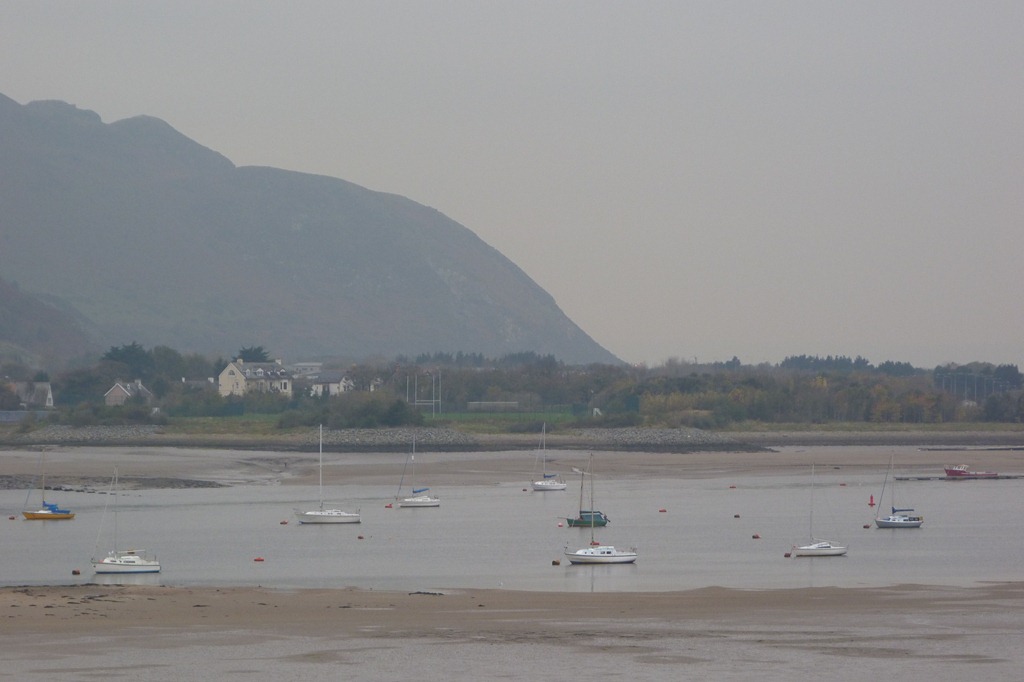 [estuary%2520002%255B9%255D.jpg]