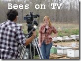 SheriBeesnnews SheriBeesnnews