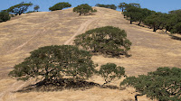 DSC02981.jpg