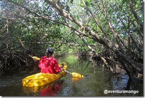 Caiaque no Rio Catu 3