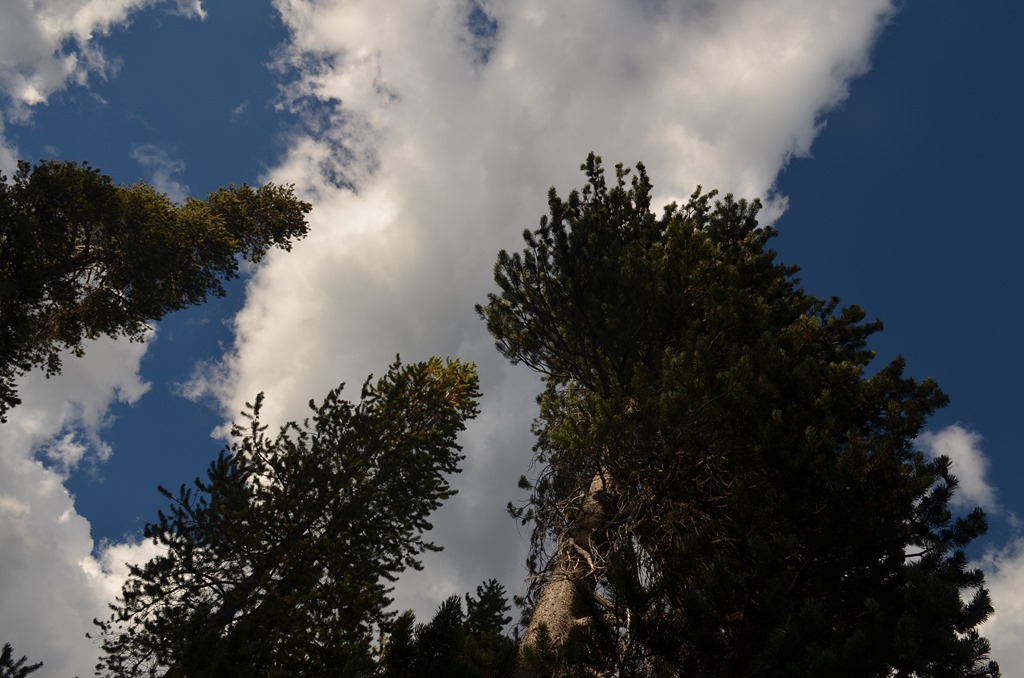 [Medicine-Lake-Camping-2-0594.jpg]