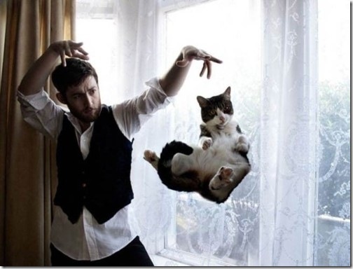 strange-cats-expain-that-11