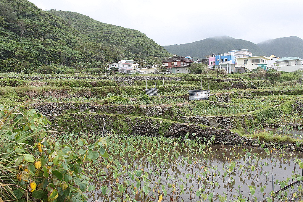 [326%255B6%255D.jpg]